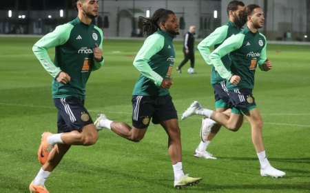 "الفاف" تواجه عدة صعوبات في ضبط البرنامج التحضيري للخضر تحسبا للكان