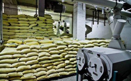 وزارة التجارة تدعو المطاحن زيادة قدراتها الإنتاجية من مادة السميد 