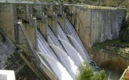 سلطات سكيكدة و المدير العام للسدود يدرسون وضعية سد زردازة