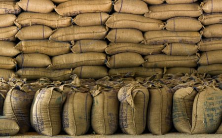  حجز 10 قناطير من مادة الحمص موجهة للمضاربة   بالمسيلة