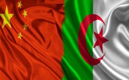 الصين تُقدم منحا كاملة للطلبة الجزائريين