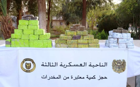 إفشال محاولات إغراق الجزائر بأكثر من 10 قناطير من الكيف المغربي خلال أسبوع