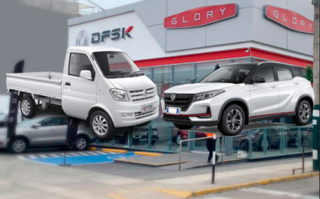 سيارات" DFSK" تصل الموانئء