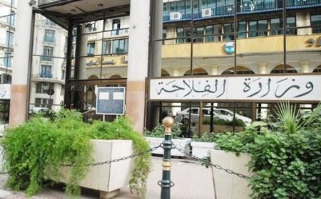 حالة "استنفار في وزارة الفلاحة بسبب ظهور" أسراب الجراد"