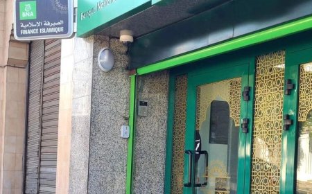 تمويلات البنك الوطني الجزائري تجاوزت 10 مليار دج 