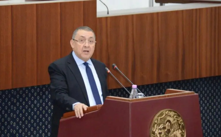 وضع حيز التنفيذ نظام معلوماتي لمتابعة تسيير وإزالة النفايات المنزلية