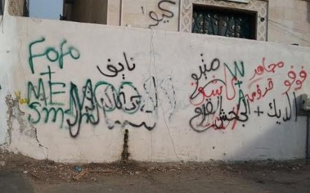 رسومات بجدار متوسطة الأمير