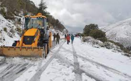 الثلوج تتسبب في غلق عديد الطرقات بشمال وشرق البلاد