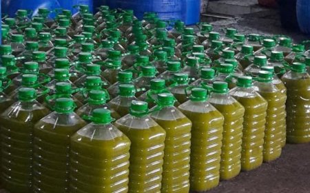 إحباط عملية تسويق 2700 لتر من زيت الزيتون المغشوش بباتنة