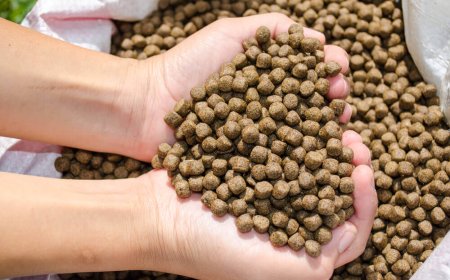 دورة في صناعة "أعلاف السمك 