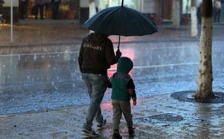 أمطار على عدة ولايات إلى غاية الاثنين