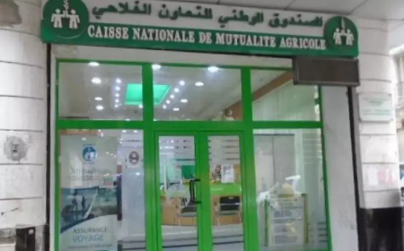 اقتراح وضع جهاز تأميني ضد الكوارث الفلاحية