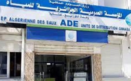 اعنابة: لجزائرية للمياه   تقطع 260 توصيلا غير شرعي
