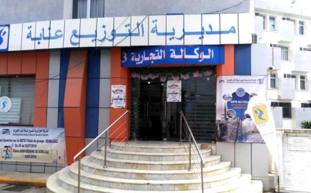 عنابة:  سونلغاز تنظم يوم تقني دراسي حول أخطار القاتل الصامت 