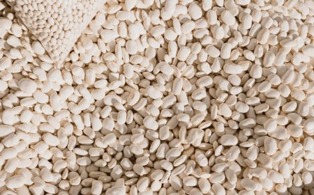 وصول شحنات كبيرة من" اللوبياء" المستوردة لموانئ شرق الوطن