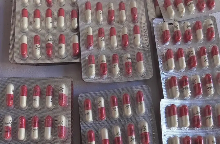 الأئمة في البرلمان 