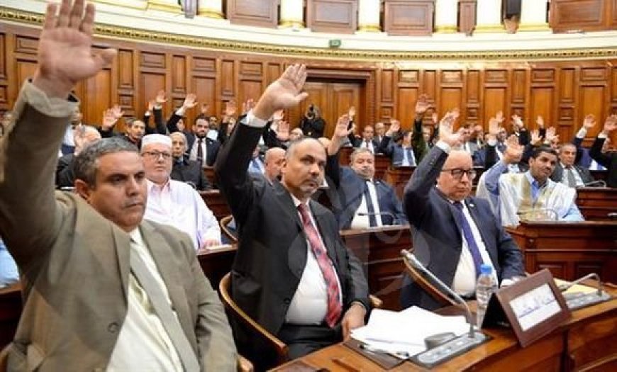 مجلس الأمة يصادق على نص قانون المالية لسنة 2024