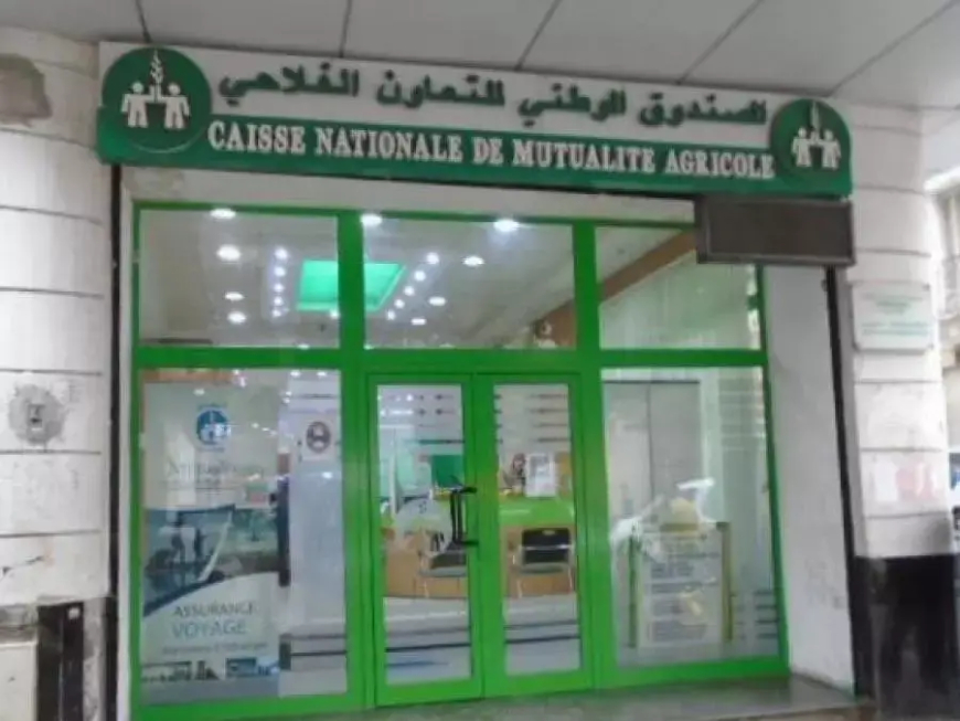 اقتراح وضع جهاز تأميني ضد الكوارث الفلاحية