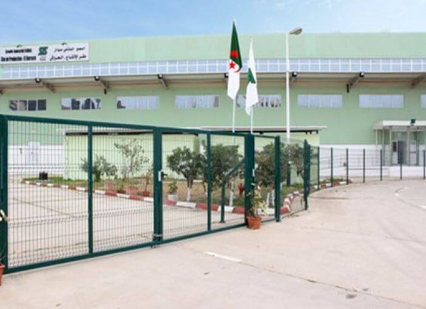 وفد برلماني يعاين مجمع IMGSA للمنتوجات الصيدلانية بعين مليلة