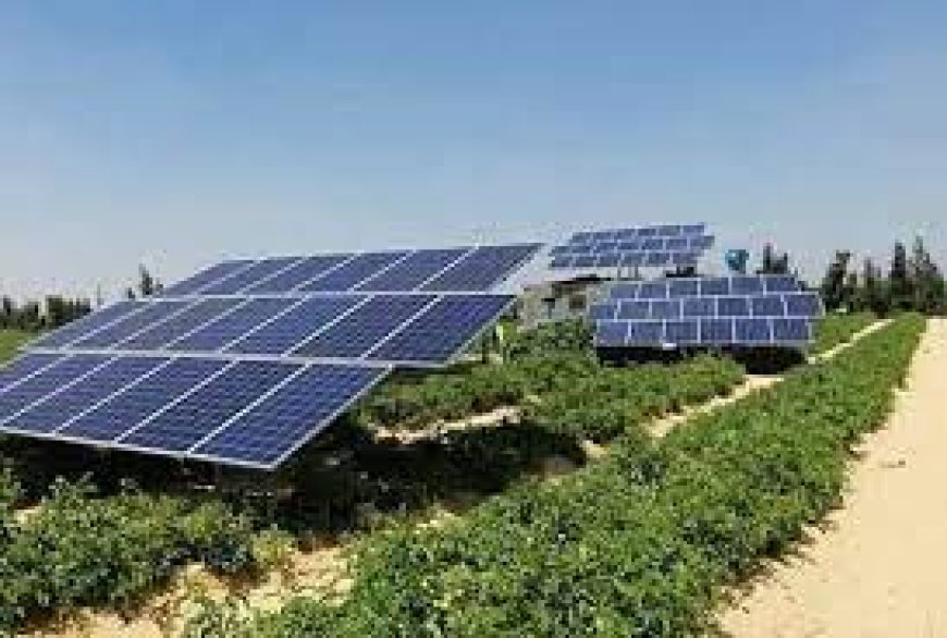 باتنة: فلاحو منطقة لقرين يعارضون مشروع الطاقة الشمسية على حساب أراض فلاحية منتجة