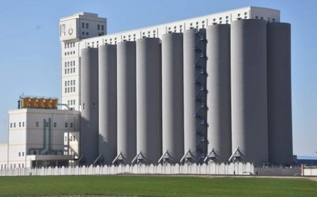 استلام صومعة لتخزين الحبوب بقدرة استيعاب 200 الف قنطار بقالمة