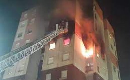 " هلعا" في بوزعرورة