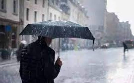 ثلوج وأمطار غزيرة على عديد ولايات الوطن