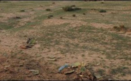 يتبرع بقطعة أرض للدولة