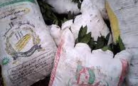 حجز أكياس" الرند" بشطايبي