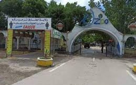 "   مزيان يزور حديقة " برابطية