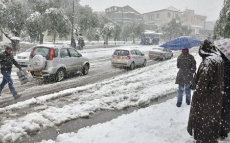 تساقط الثلوج على مرتفعات شرق الوطن  