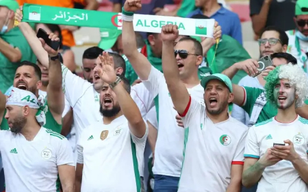 20 مليون سنتيم كلفة التنقل الى كوت ديفوار لمناصرة الخضر وأول رحلة تنطلق يوم غد الجمعة 
