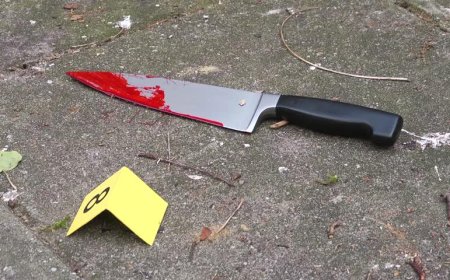 حي الشابية 2 يهتز على وقع جريمة قتل شاب 