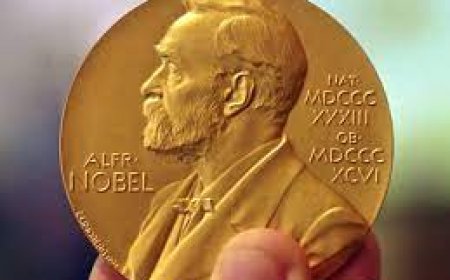 المطالبة بمنح جائزة نوبل للسلام لجنوب إفريقيا بسبب فلسطين