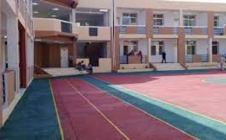 20 مليارا لتهيئة 32 مدرسة ابتدائية بسيدي عمار