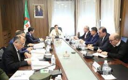 تنصيب لجنة الشبكة الجزائرية للشفافية "نراكم"