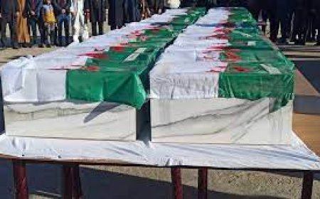 إستخراج 49 رفاتا لشهداء الثورة التحريرية بإقليم بلدية ثليجان بتبسة