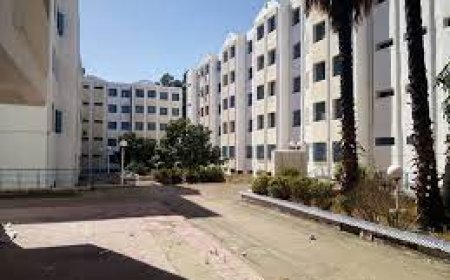  إنهاء مهام مديرة الإقامة الجامعية بسيدي عمار 