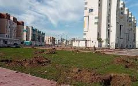  بشرى "سارة" لسكان شطايبي 