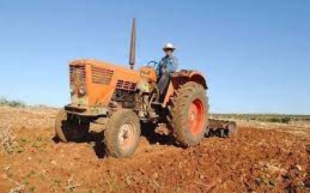 عنابة: نسبة الحرث و البذر فاقت 94 % 