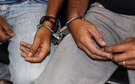 توقيف الشخصين المتورطين في اقتحام صيدلية والإعتداء على صاحبتها بالطاهير بجيجل 