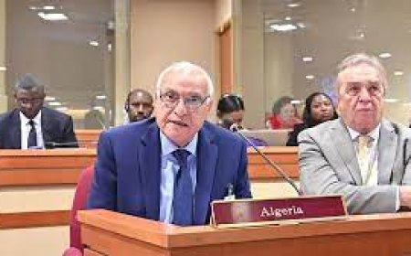 عطاف "يطير"لنيويورك 