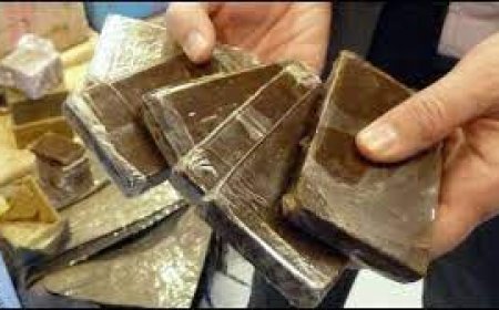 برج بوعريريج: توقيف مسبوق قضائي وحجز قرابة الكيلوغرام من الكيف المعالج