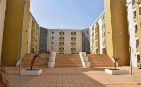 جاء الوزير حضر "سمك البلطي "