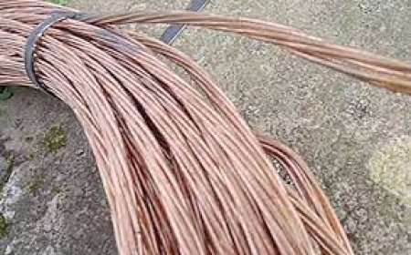 باتنة:  وضع حد لعصابة أشرار تحترف سرقة الكوابل الكهربائية