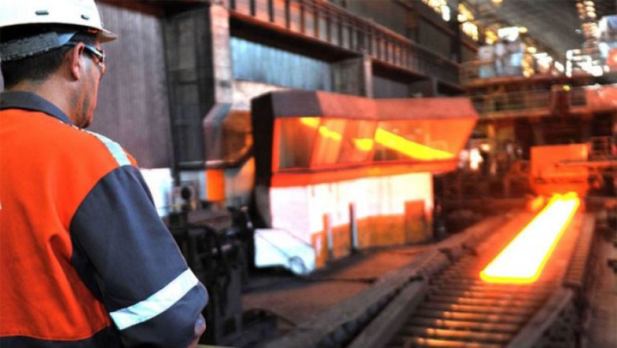 السلطات الولائية وإدارة مركب الحجار تشرعان في العمل الميداني