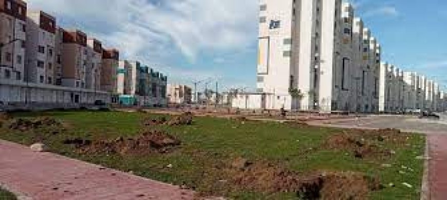  بشرى "سارة" لسكان شطايبي 