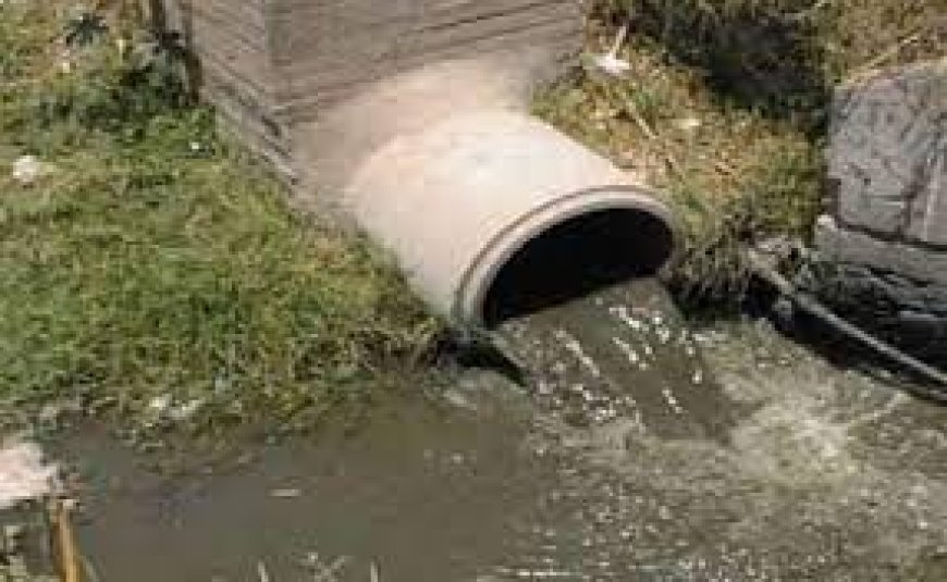  مدينة عنابة تسبح في المياه القذرة