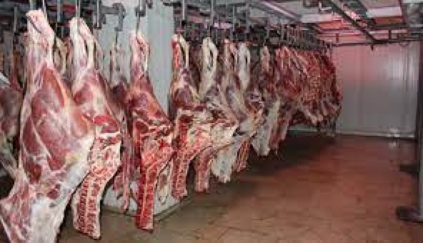 عنابة: حجز أزيد من 3 آلاف كلغ من اللحوم الحمراء