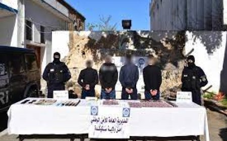 شل نشاط شبكة إجرامية بسكيكدة و حجز 2600قرص مهلوس